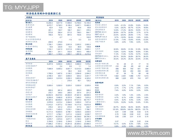 北京足球队选拔赛点评团队协作表现分析与提升建议